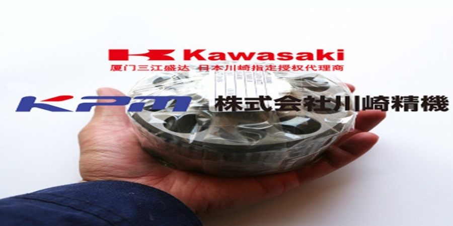 回转马达缸体泵胆(M2X63)